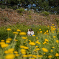 Celebrate Love and Friendship in the Royal Docks