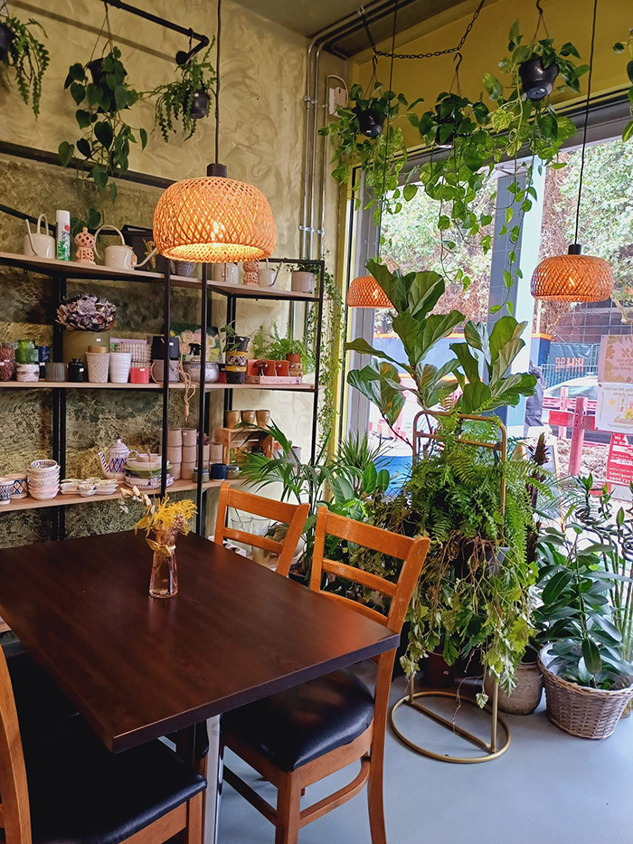 A selection of plants. A table and chairs are in the foreground.