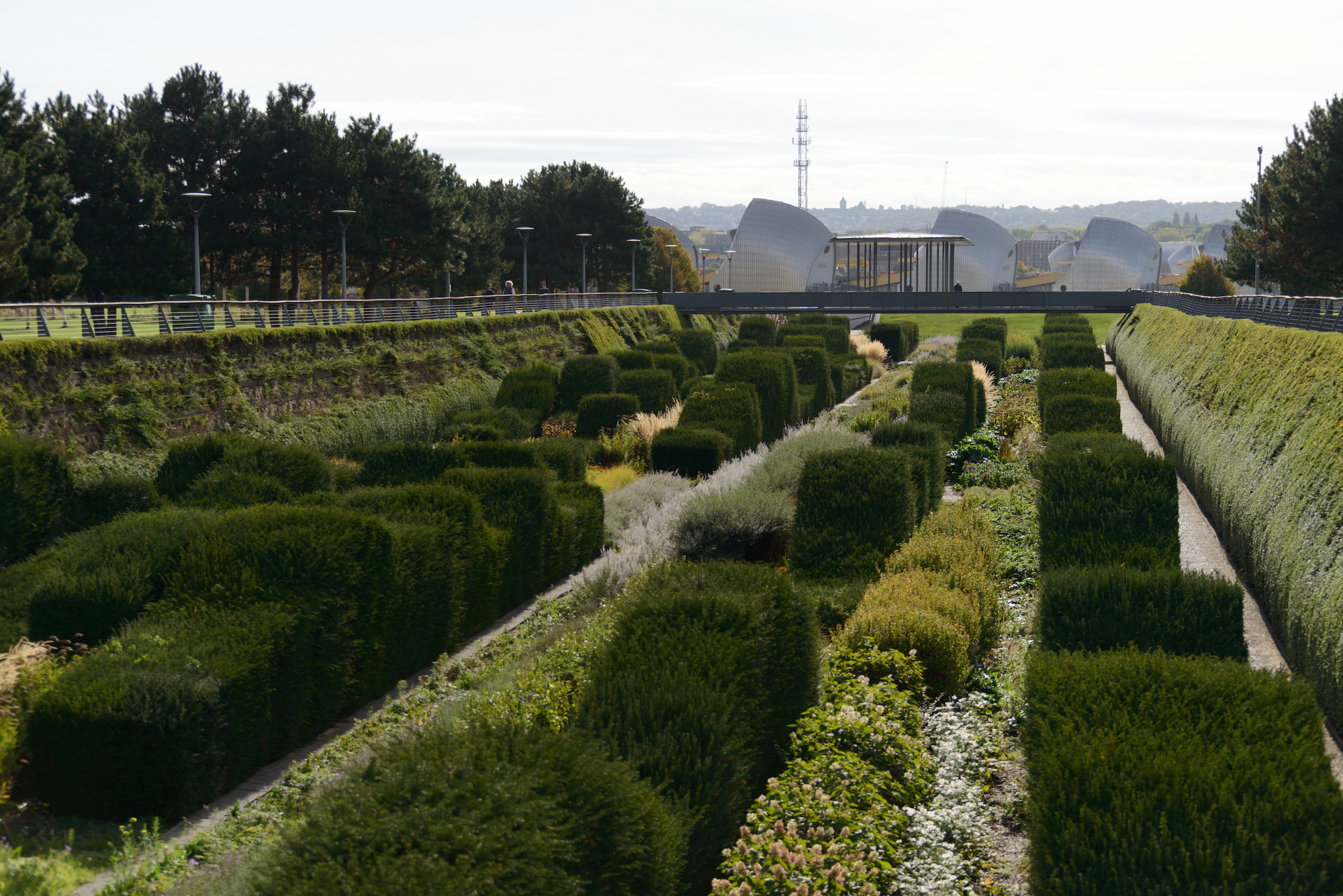 rolling hedges of thames barrier park with a view to the thames barrier structures in the background