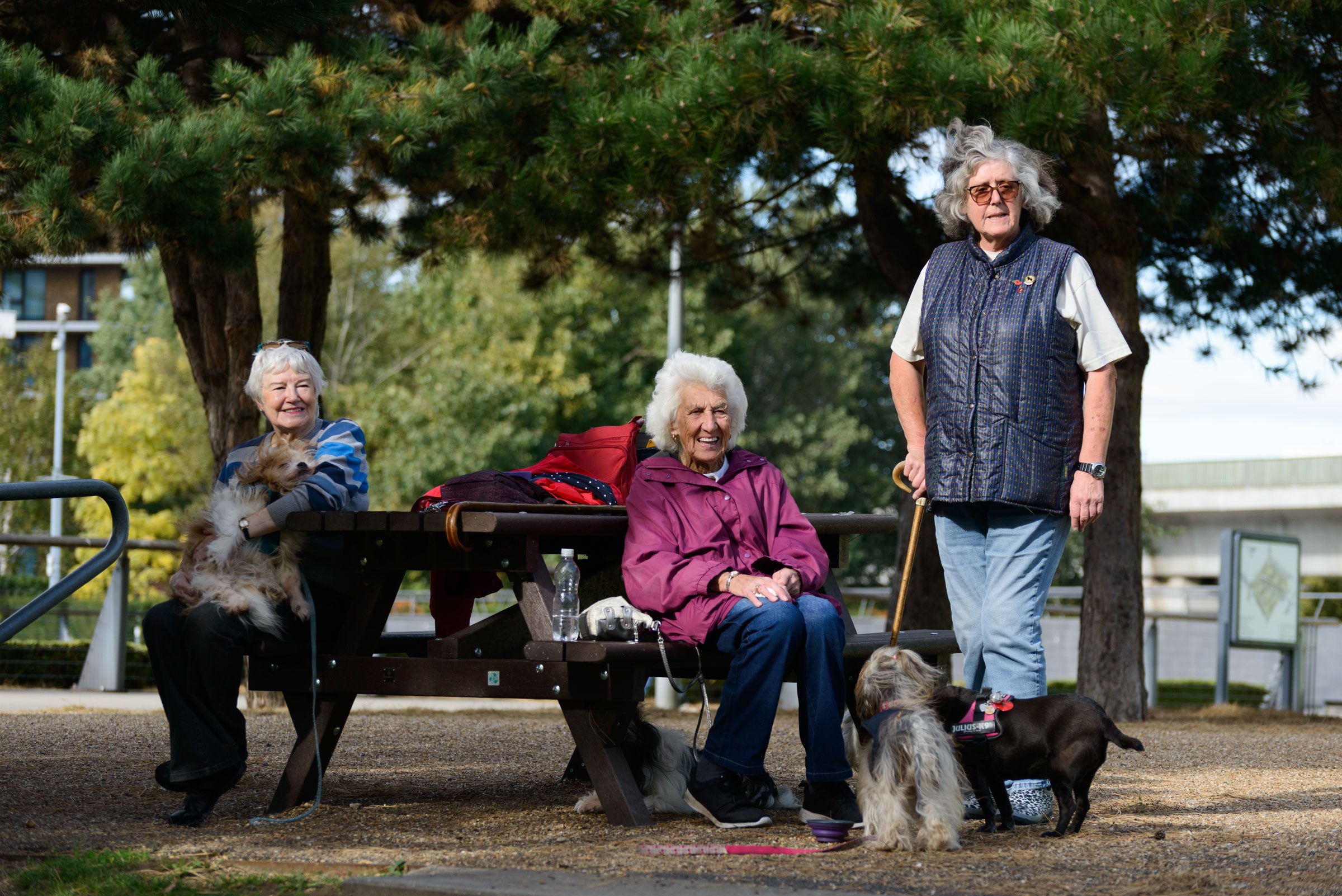 Three women with three dogs sitting on a bench in Thames Barrier Park