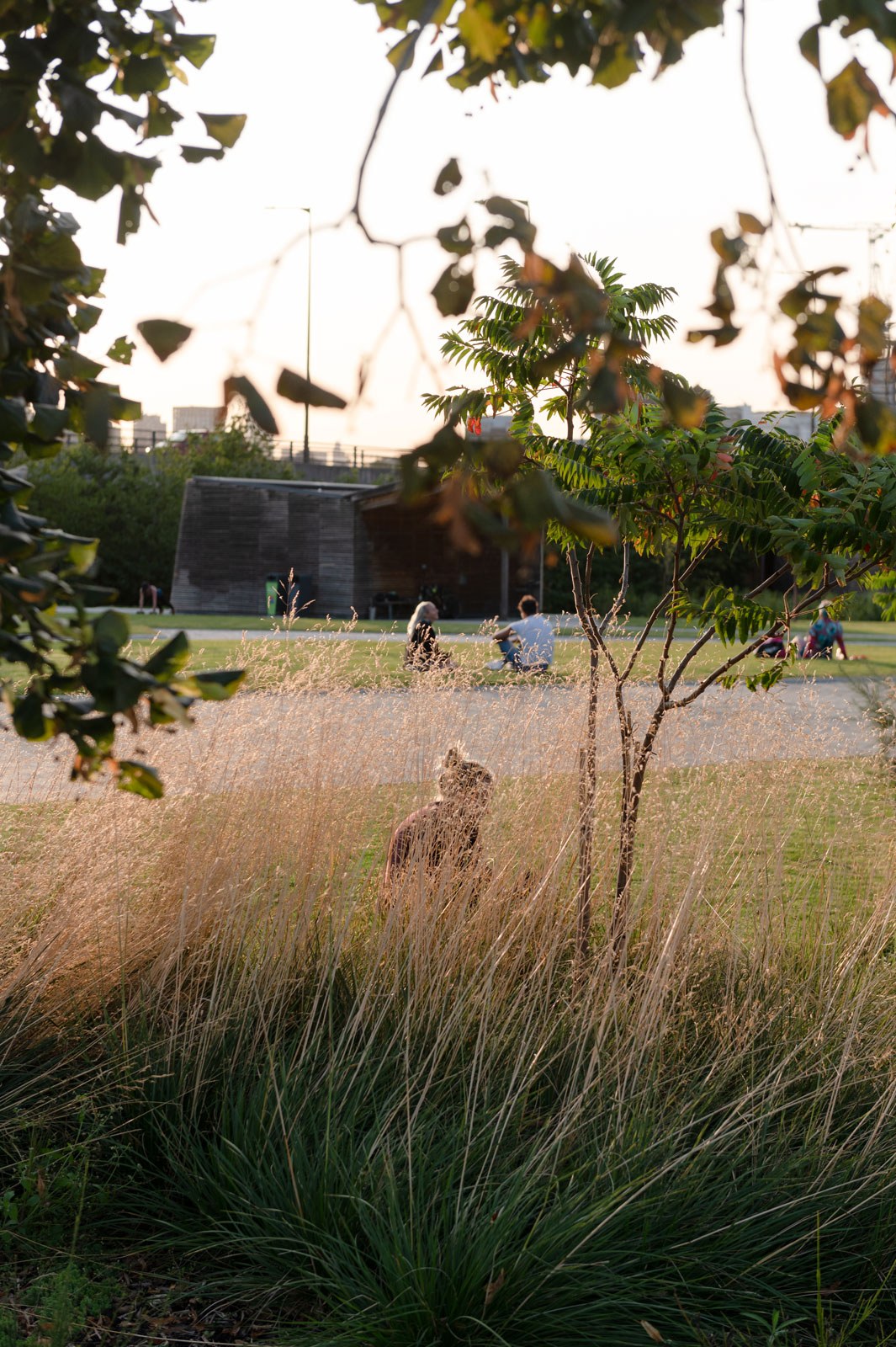 A woman sitting in the tall grass of the Thames Barrier Park
