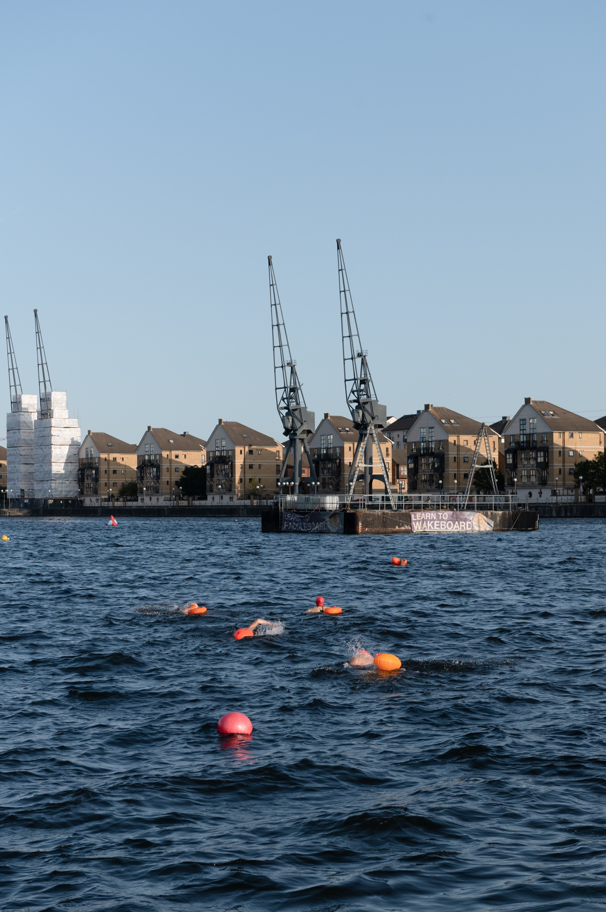 Royal Victoria Dock is a popular place to swim