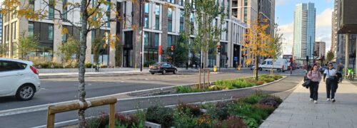 Nature in action - the Royal Docks rain garden