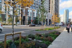 Nature in action - the Royal Docks rain garden