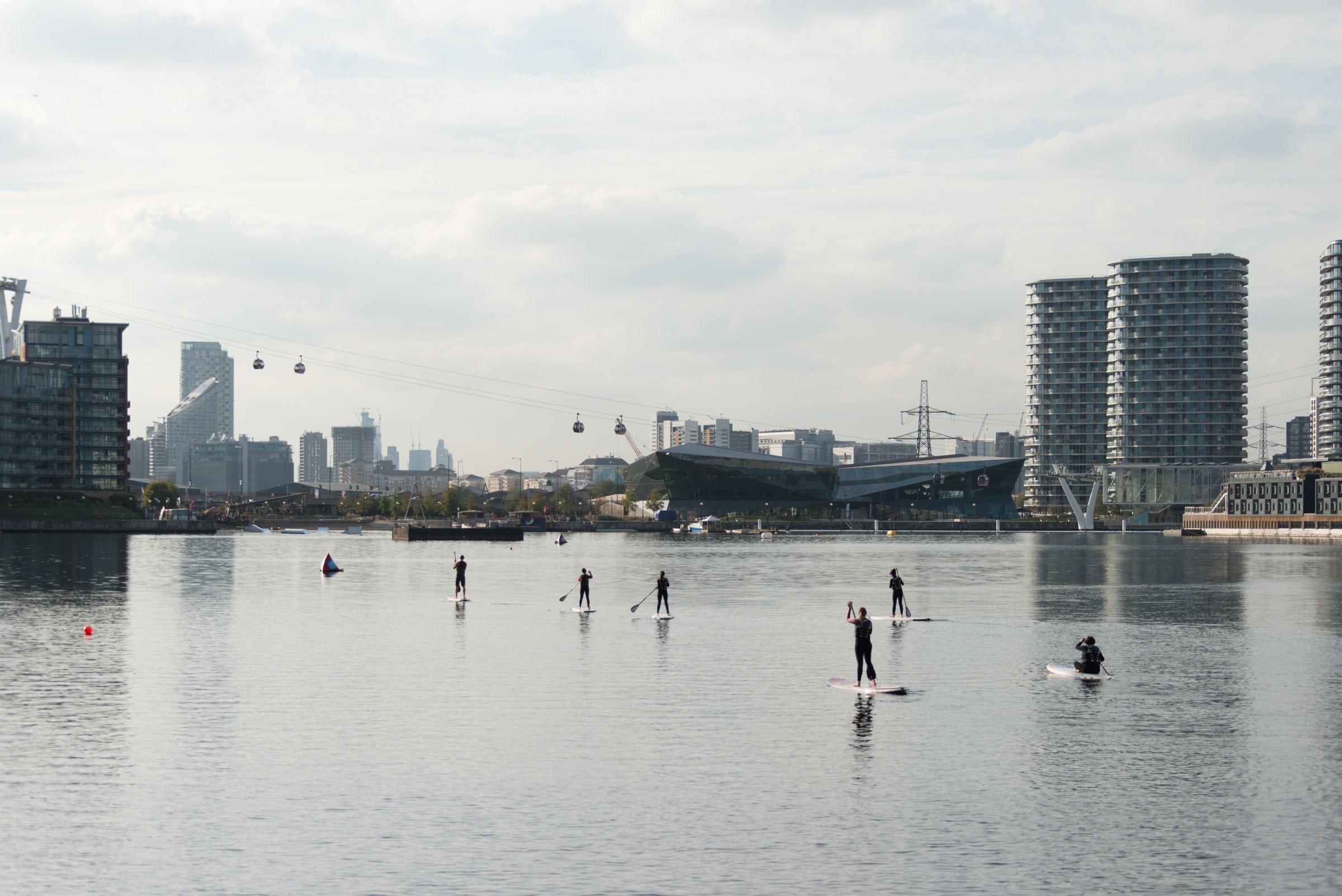 Paddleboarders heading out across the dock waters