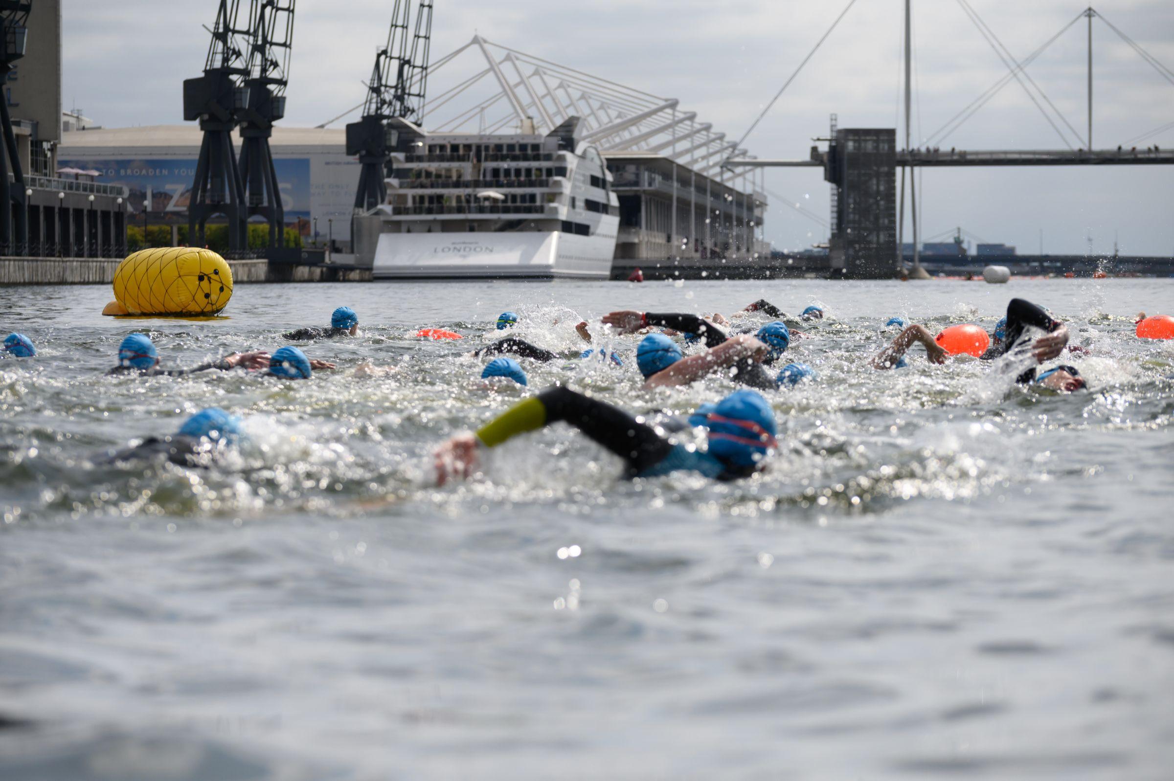 A large group of swimmers in the Royal Docks water