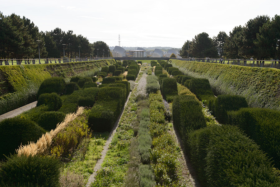 A set of hedges in Thames Barrier Park