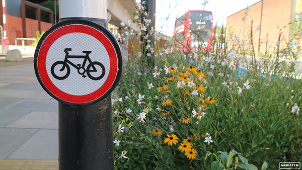 Royal Docks Rain Garden - cycling image