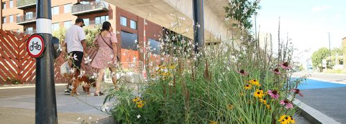 Royal Docks Rain Garden