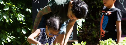 Royal Docks Team launch ‘Create Your Docks’ Community Fund