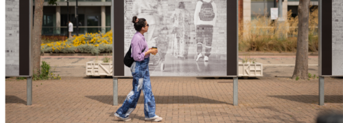 Royal Docks walks, tours and trails