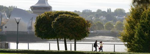 Thames Barrier Park awarded a Green Flag award – seven years running!