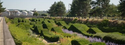 Thames Barrier Park Awarded Green Flag for Ninth Year Running