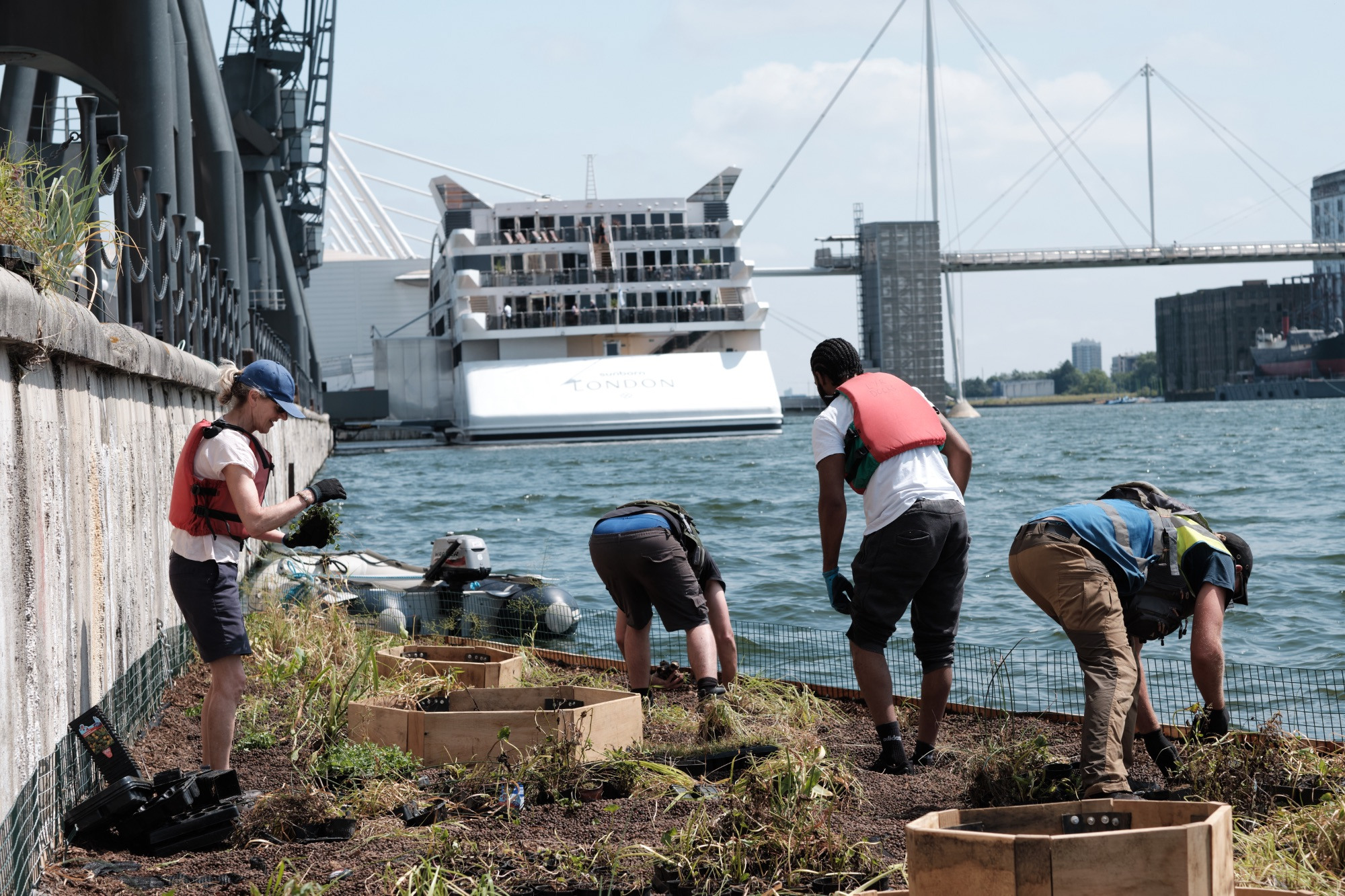 Royal Docks floating garden volunteers at work with Sunborn yacht in the background