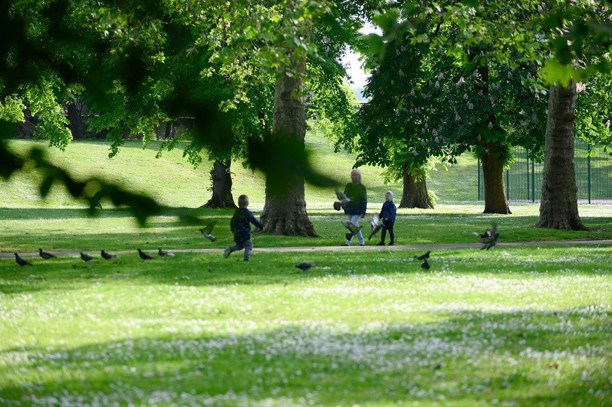 Pigeons in Beckton park
