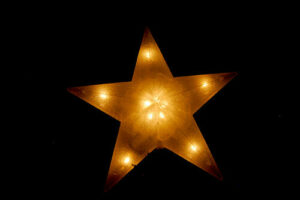 Light Up City Hall Gardens