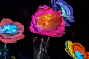 Docks Open Art Commissions: Bioluminescent Garden