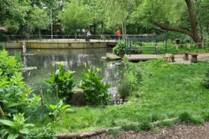 Everyone’s Invited: Join the Beckton Itchycoo Park Volunteer Session