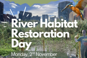 River Habitat Restoration Day