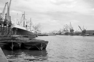 Step Back in Time: Elephants at the Royal Docks