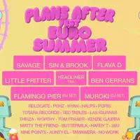 Plans after Fest - Euro Summer