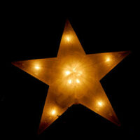 Light Up City Hall Gardens