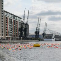 Dock2Dock Swim 2026