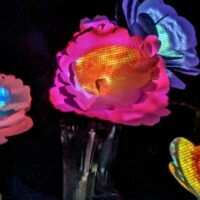 Docks Open Art Commissions: Bioluminescent Garden
