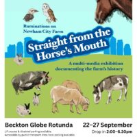 Straight from the Horse’s Mouth – Ruminations on Newham City Farm