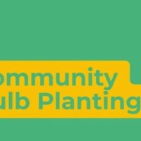 Community Bulb Planting