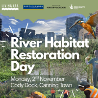 River Habitat Restoration Day